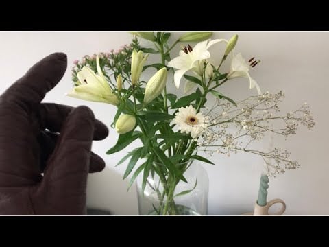 ASMR ✨ - super tingly camera moving with scrunchy leather gloves