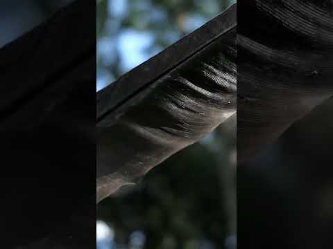 Grounding Cleansing Energy Meditation at the end of the day