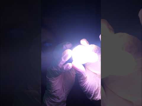 ASMR SLEEP CLINIC 👥 Cranial Nerve Exam