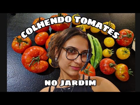 ASMR NA HORTA🍅✨️