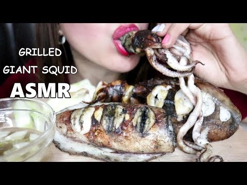 ASMR GIANT SQUID EATING NO TALKING