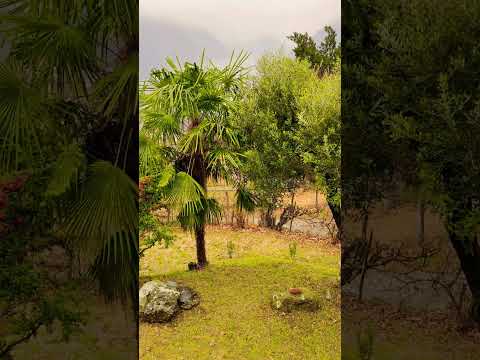 ASMR Misty Mountains under the Rain #italy #relaxing