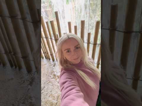 Omaha's Henry Doorly Zoo (AMAZING RAINFOREST) 🐒 #vlog #adventure