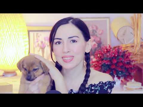 My Cute Puppy & 50k Subscribers Celebration 🎉  Anya ASMR Chit-Chat Thank You!