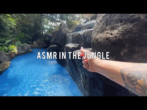 FAST & AGGRESSIVE ASMR IN THE JUNGLE | lofi tingles, Costa Rica☀️