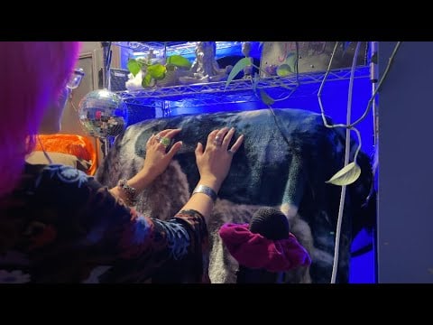 ASMR Friend tickles/scratches your back