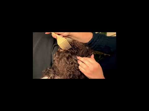 ASMR wood comb hair brushing for deep sleep. #asmr #asmrvideo #asmrhair #asmrsounds #asmrsleep
