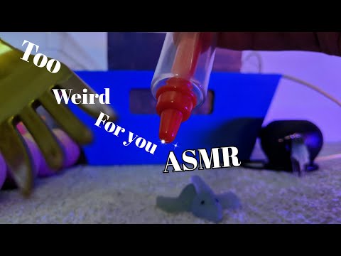 WOW.. Is This ASMR Too Weird For You? | ASMR on the Camera | lofi friday |  ASMR Alysaa