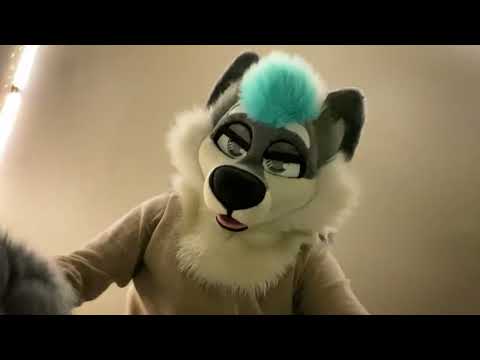 You Got Attacked By A Werewolf [Furry ASMR]