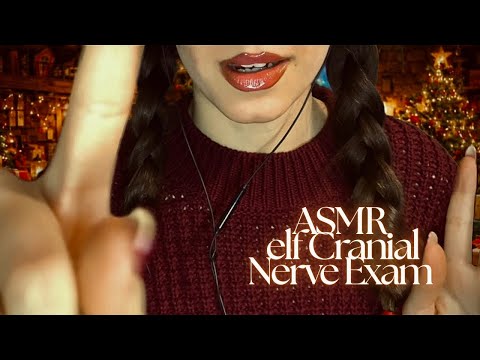 ASMR Elf Performs Cranial Nerve Exam 🧑‍🎄 (whispering, personal attention, visual triggers & more)