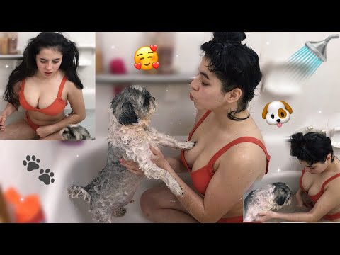 Rutina de Baño🚿con Mi Perrito 🐶🐾 / Yolany💗