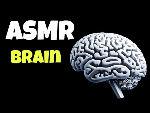 ✨️ASMR BRAIN MASSAGE✨️