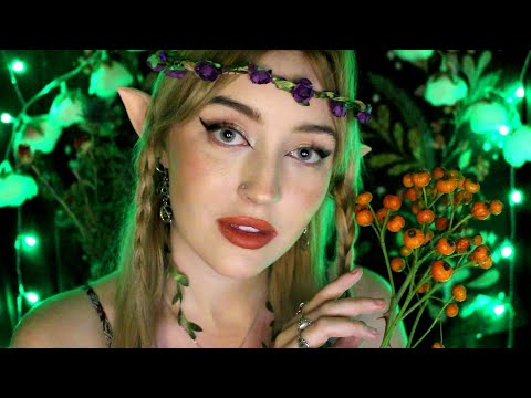 Curious Elf Gives You A Makeover ASMR