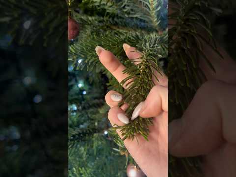 ASMR - Advent Day 24 🌲#asmrtriggers #tingles