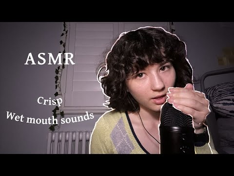 ASMR Mouth Sounds with Occasional Interruption