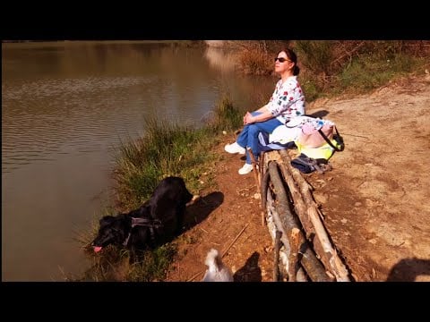 Petite promenade au bord d'un étang, avec mes toutous loin de tout,de la foule,du bruit,du stress