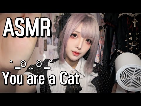 🐾Fierce Girl Turns into Gentle Pet Keeper! Kitten Bath & Cozy Day ASMR