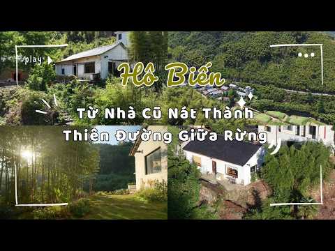 Full Version | Từ Nhà Cũ Nát Thành Thiên Đường Giữa Rừng | Hành Trình Cải Tạo Nhà Cũ #nhadep