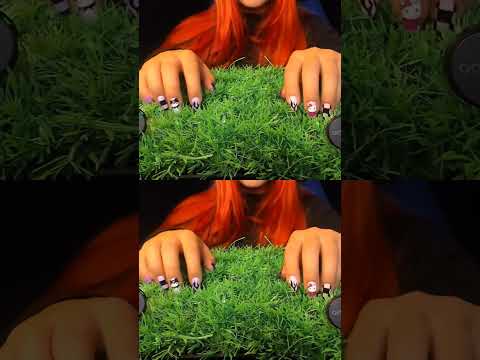 This Sound Is So Satisfying… 😍 | ASMRScratching (No Talking) #tingles #shorts #asmr