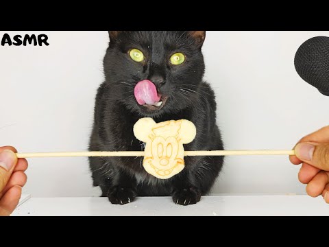 Cat eating Minnie Mouse ASMR