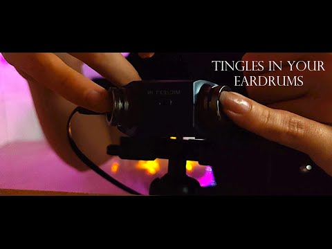 ASMR Finger Ear Cleaning Session for Sleep - (Fingers, Nails, Exfoliation + Latex Gloves) No Talking