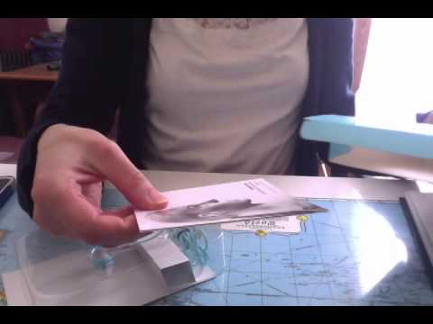 Unboxing Yurbuds Inspire Sport Earphones