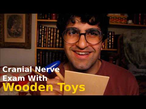 [ASMR] Wooden Toy Cranial Nerve Exam (Sincere)