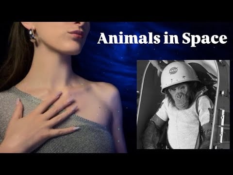 ASMR ~ Animals That Went to Space 🚀