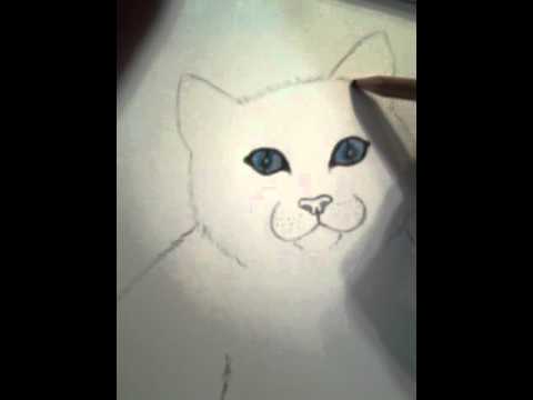 ASMR draw with me pt.2