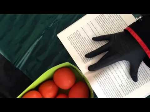 Latex Gloves,Tomatoes and Frisian language  [[ASMR ]]