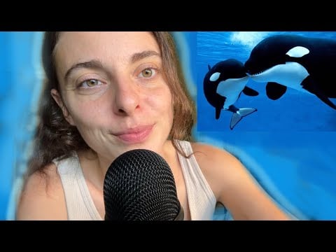 asmr 💙 reading ocean articles for sleep 🐬😴 (whispering)