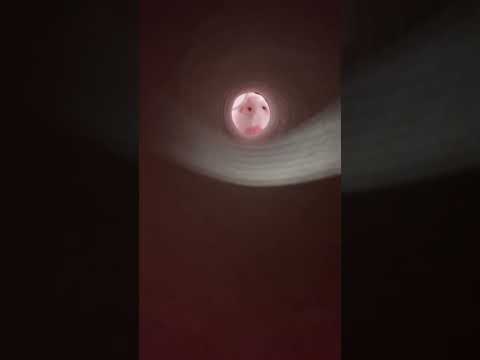 ASMR- 👁️👄👁️ You Got Something Goin On #asmr #tongueflutters #mouthsounds #asmrvideos #tingles