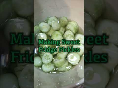 Sweet Fridge Pickles Recipe (ASMR Style)