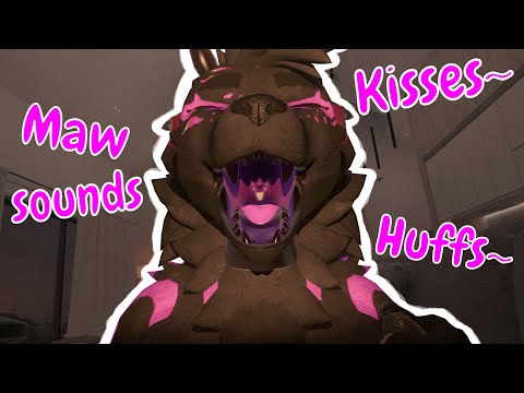 FURRY ASMR | Maw sounds