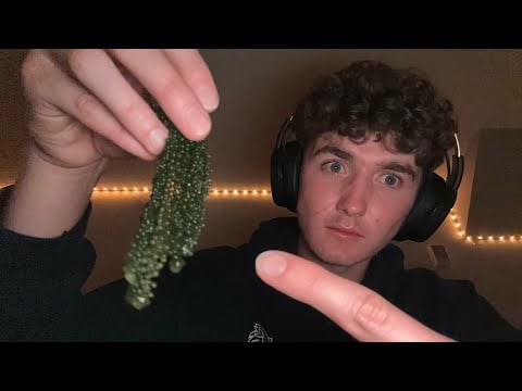 ASMR - Eating Sea Grapes for the FIRST TIME (SO Crunchy & Tingly) 🍇 🌊 