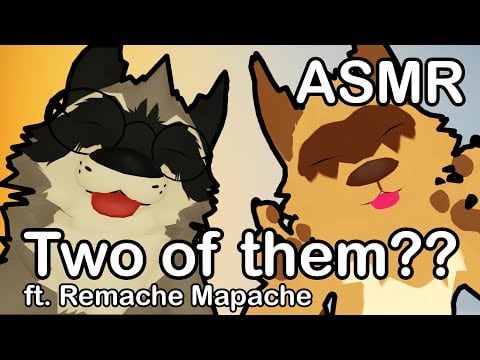 [Furry ASMR] Two Racoon Licking Your Ears ft. @RemacheMapache :3 | Mouth Sounds, Licks, VR Chat