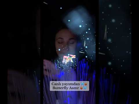 Canlı yayımdan 🦋🐞Butterfly Asmr 🐞🦋 #asmr #hsyasmr #recommendations #butterfly #asmrvideo