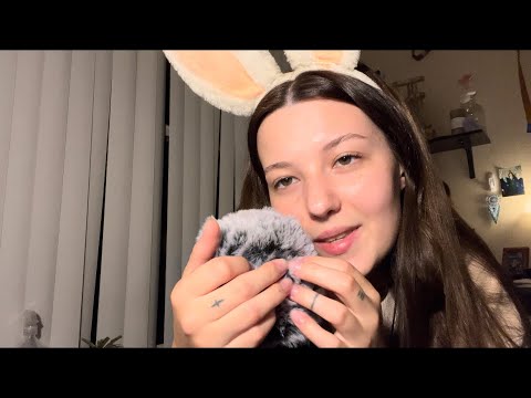 ASMR Finding The Bugs