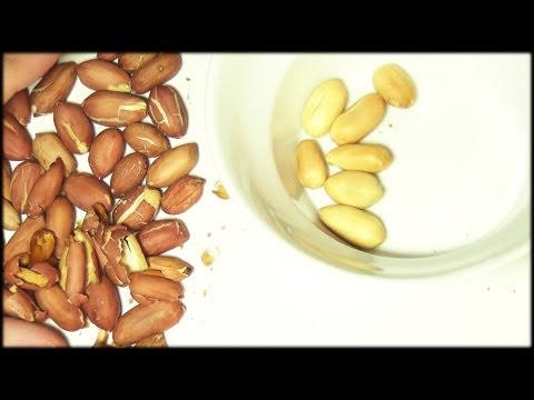 82. Shelling Peanuts - SOUNDsculptures (ASMR)