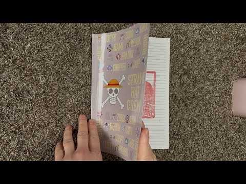 ASMR Flipping Through A One Piece Notebook | (No Talking)