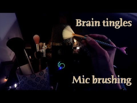 ASMR 🌙 Brush collection - Mic brushing, tapping (no talking)