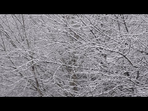 50 Facts About Winter/Snow - Whispered ASMR