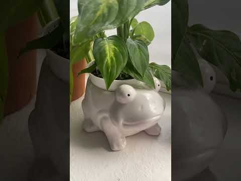 asmr with my plants🌱