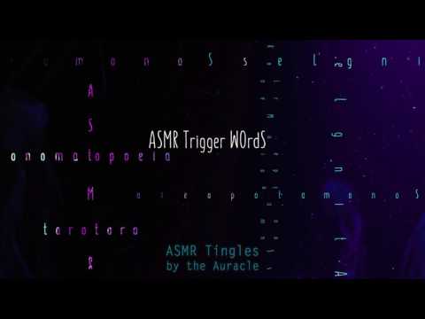 [ASMR] ★ Trigger Words, Onomatopoeia ft Vroom  ★ [Binaural] [Whispers]