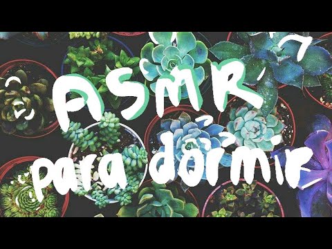 🎧🌱ASMR sonidos ricos RELAX TOTAL con mis suculentas