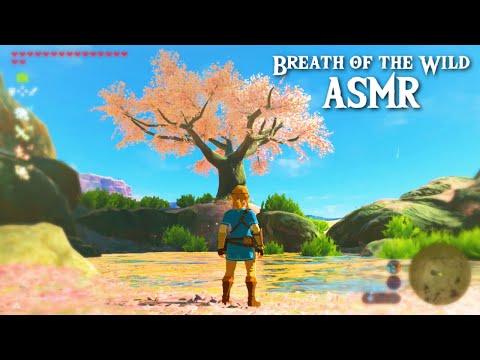 ASMR 🌸 My MOST Relaxing Breath of the Wild Video Ever 🏞️ Close Up Ear to Ear Whispering