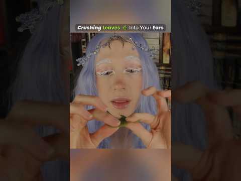 Crushing leaves into your ears #asmr