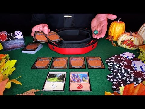[ASMR] Magic the Gathering Casino Game with NICEST Dealer 🔮 | Gambling Roleplay, ASMR for Sleep