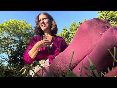 ASMR nylons in the park chit chat