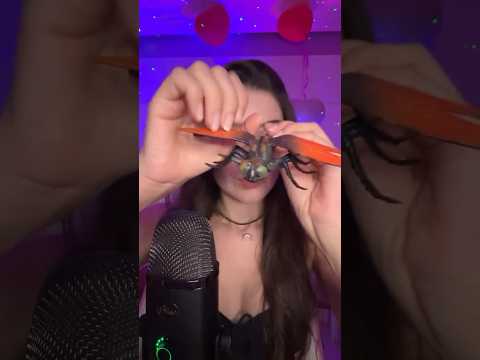 Isso é um papa-fumo ou libélula? #asmr